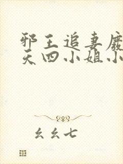 邪王追妻废材逆天四小姐小说下载