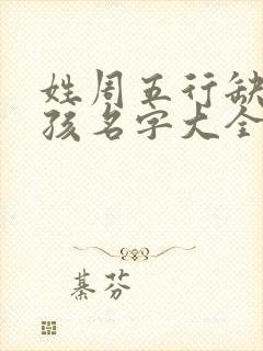 姓周五行缺水男孩名字大全