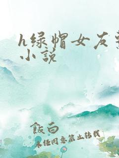 h绿帽女友系列小说