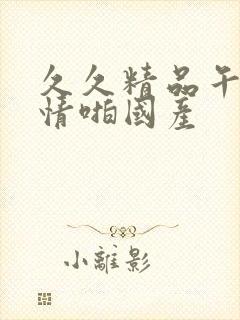 久久精品午夜激情啪国产