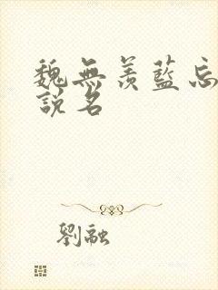 魏无羡蓝忘机小说名