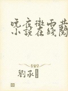 晚夜微雨共归途小说在线阅读