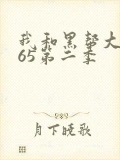 我和黑帮大佬365第二季