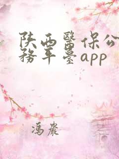 陕西医保公共服务平台app