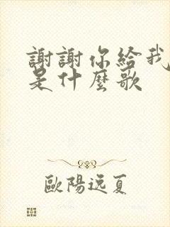 谢谢你给我的爱是什么歌