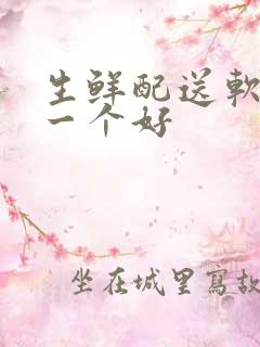 生鲜配送软件那一个好