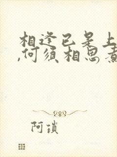 相逢已是上上签,何须相思煮余年出自哪里