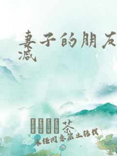 妻子的朋友无删减