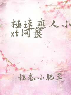 极速恋人小说txt网盘