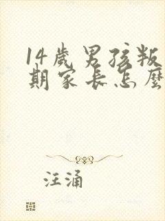 14岁男孩叛逆期家长怎么办