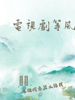 电视剧等风来