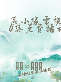 区小队电视剧40集免费播放