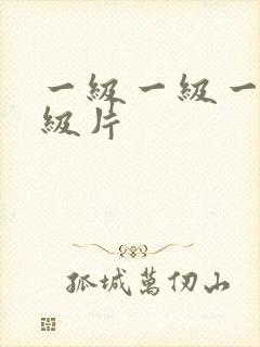 一级一级一级一级片