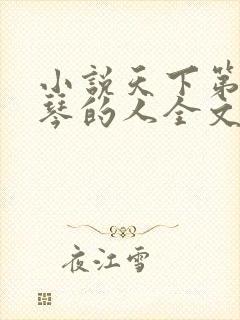 小说天下第一抚琴的人全文免费阅读