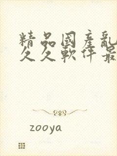 精品国产乱码久久久软件最新版