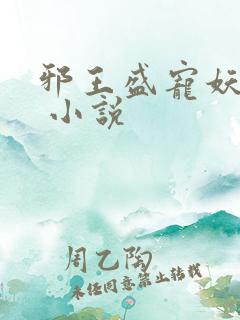 邪王盛宠妖孽妃 小说