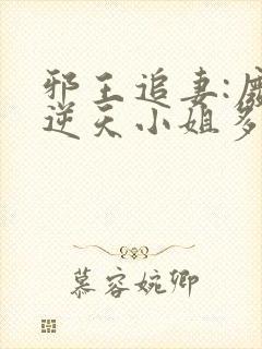 邪王追妻:废材逆天小姐多少章