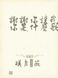 谢谢你让我遇见你是什么歌