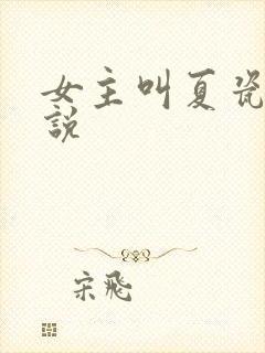 女主叫夏瓷的小说
