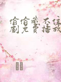 偷偷藏不住电视剧免费播放在线高清