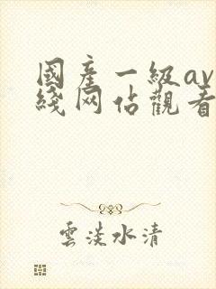 国产一级av在线网站观看