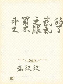 斗罗之我的系统又不服气了听书