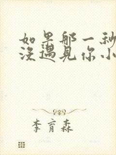 如果那一秒,我没遇见你小说