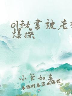 ol秘书被老板爆操