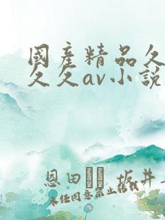 国产精品久久久久久av小说