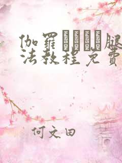 伽罗ちゃんが腿法教程免费