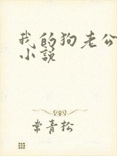 我的狗老公续集小说