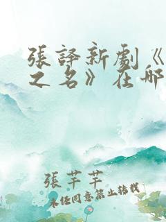 张译新剧《以法之名》在哪个台播出