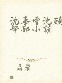 沈奉雪沈顾容是哪部小说