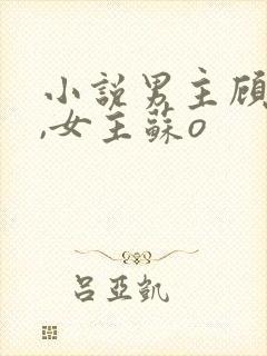 小说男主顾北弦,女主苏o