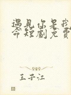 遇见你是我的宿命短剧免费全集