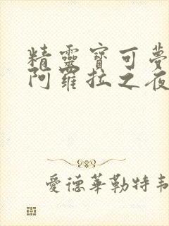 精灵宝可梦本子阿罗拉之夜母女盖饭