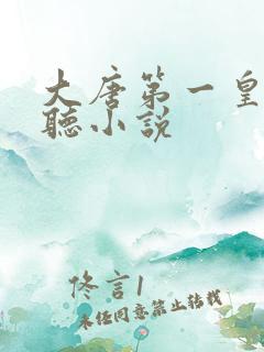 大唐第一皇太子听小说