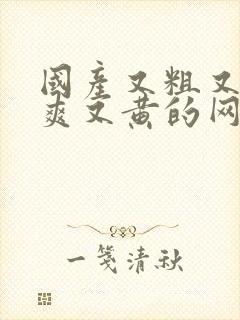 国产又粗又猛又爽又黄的网站免费