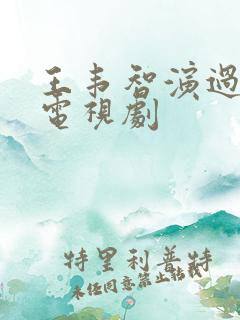 王韦智演过哪些电视剧