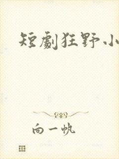 短剧狂野小神医