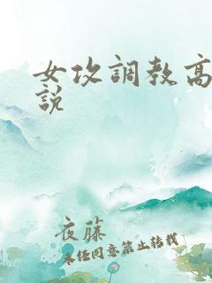 女攻调教高h小说