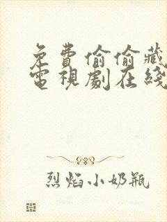 免费偷偷藏不住电视剧在线观看