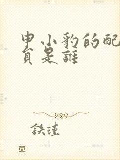 申小豹的配音演员是谁