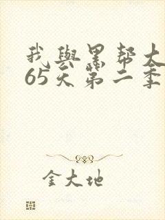 我与黑帮大佬365天第二季