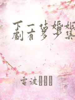 下一站婚姻电视剧有多少集