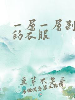 一层一层剥开我的衣服