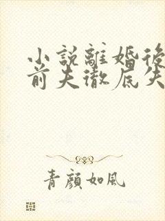 小说离婚后豪门前夫彻底失了控好看么