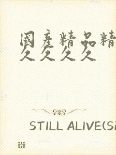 国产精品精品久久久久久