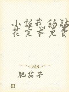 小说我的贴身校花完本免费阅读