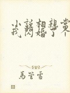 小说相亲当天:我闪婚了个千亿富翁